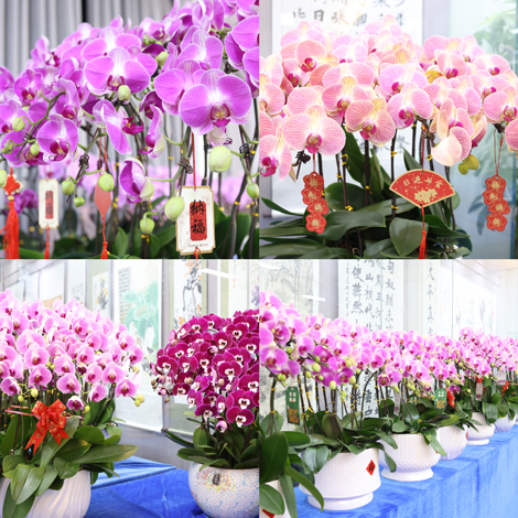 优游国际平台(UB8)官方网站- welcome